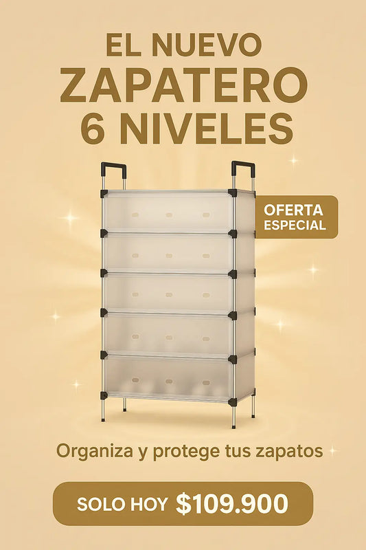 Zapatero Con Tapa 6 Niveles
